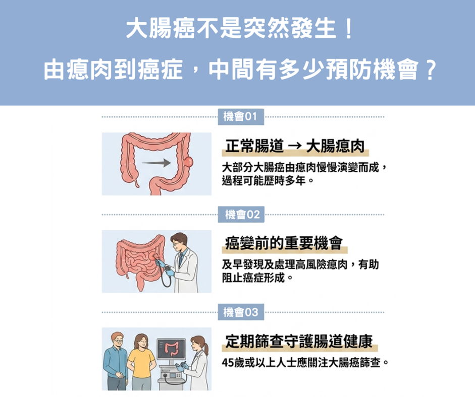 大腸癌不是突然發生！由瘜肉到癌症，中間有多少預防機會？